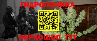 соль ск Гусиноозёрск